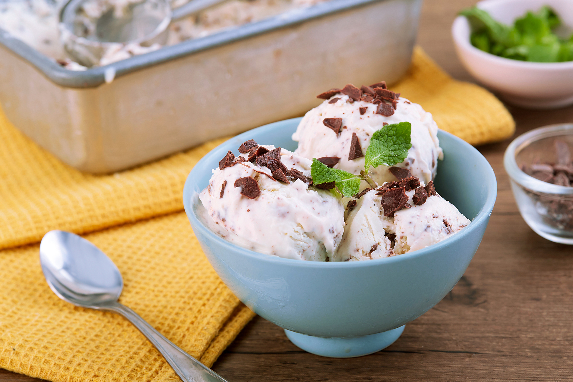 Creamy Mint Chocolate Chip Ice Cream